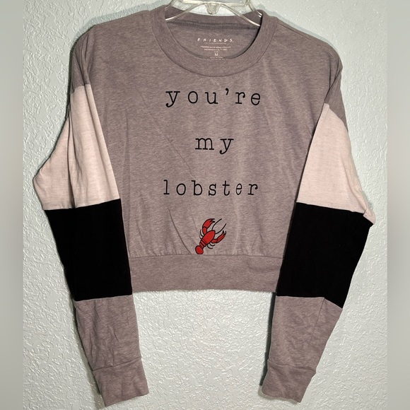 FRIENDS Tops - FRIENDS You Are My Lobster Quote  Long Sleeve Graphic Cropped Tee Size M